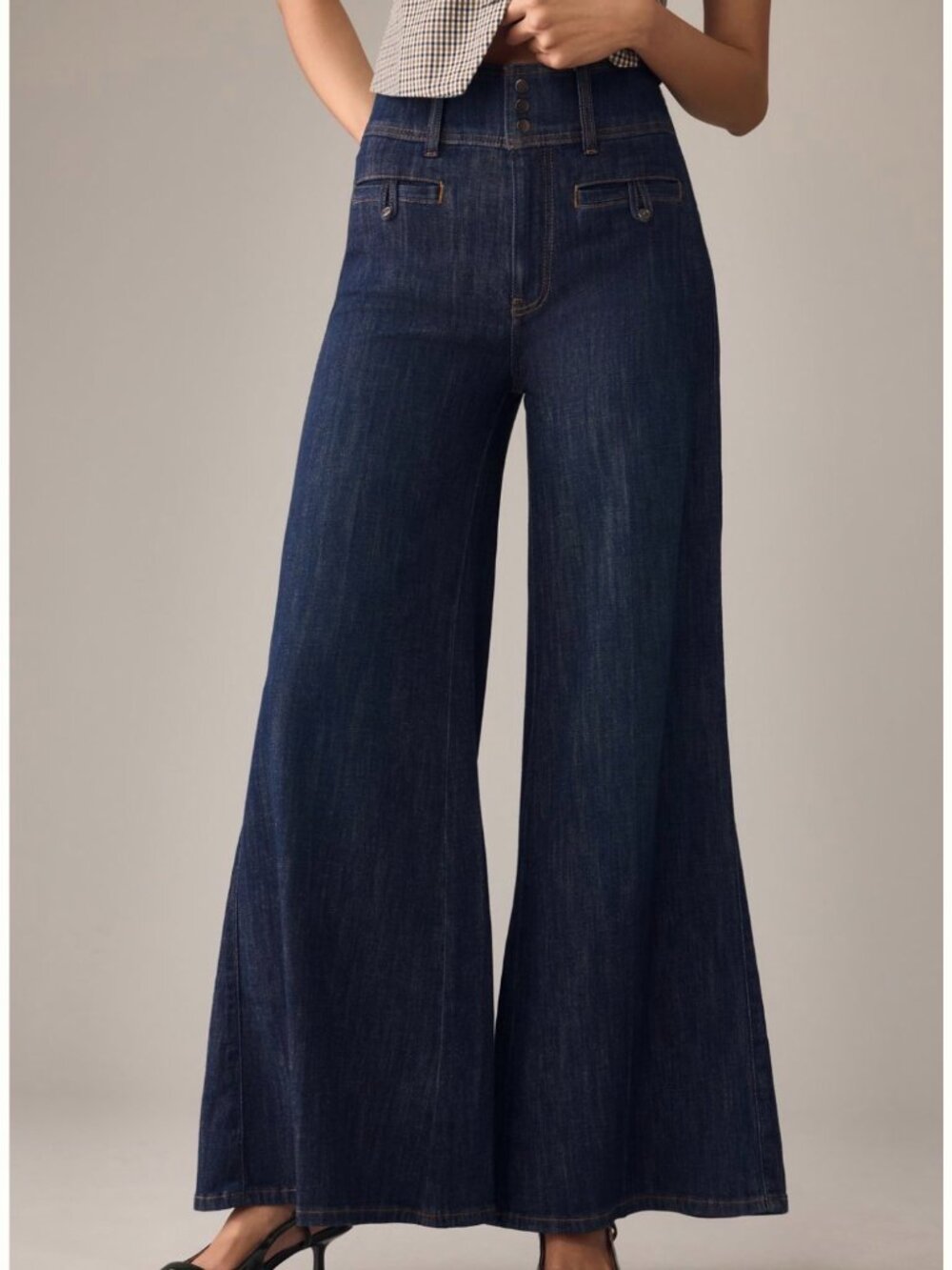 Anthropologie Pilcro High Rise Wide Leg Trouser Jeans Nest Wash 34P
